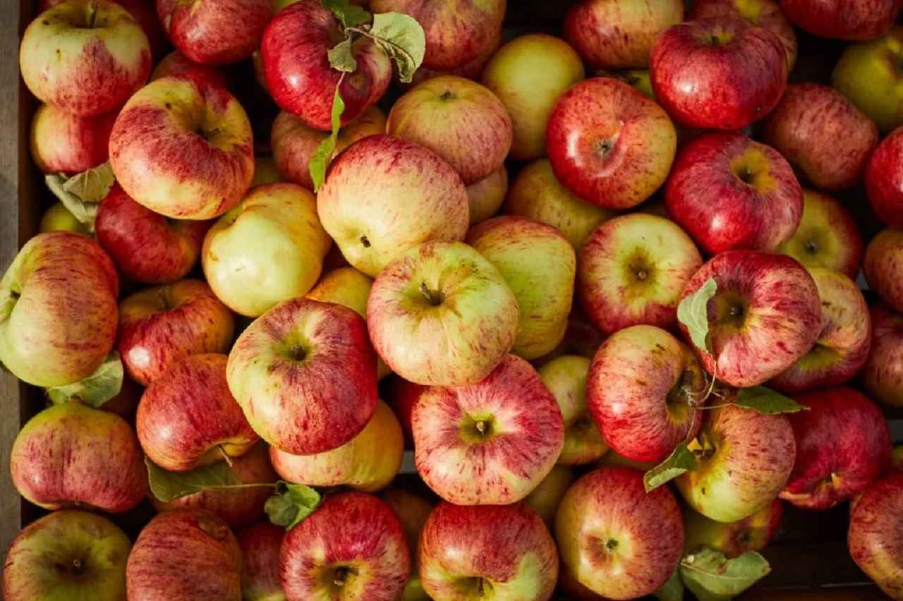 Aqui estão os benefícios das maçãs.  #3 Louco: Isso é o que