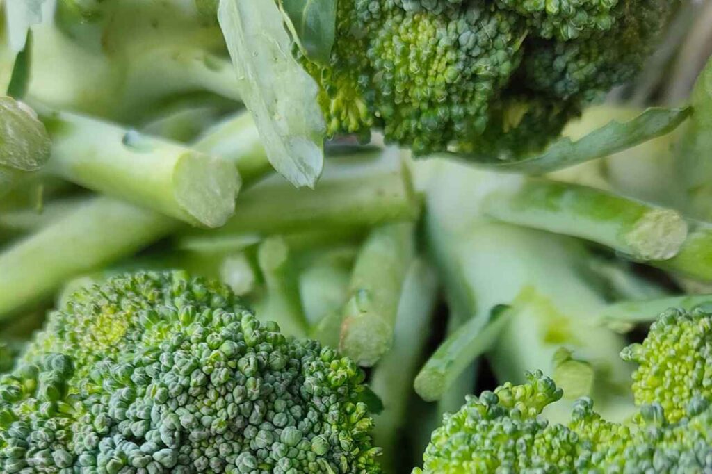 broccoli sono avariati proprietà