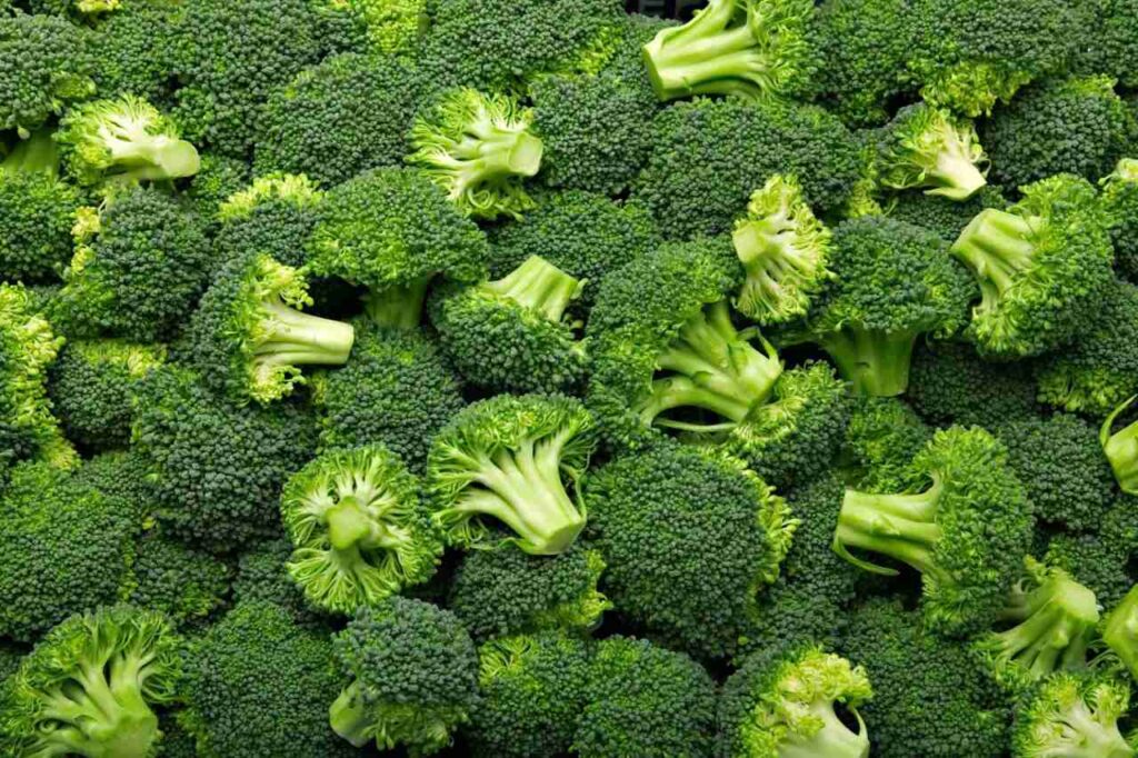 broccoli tutti i giorni
