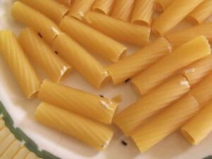 farfalline pasta