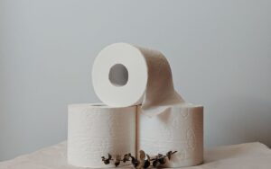 rotoli di carta igienica