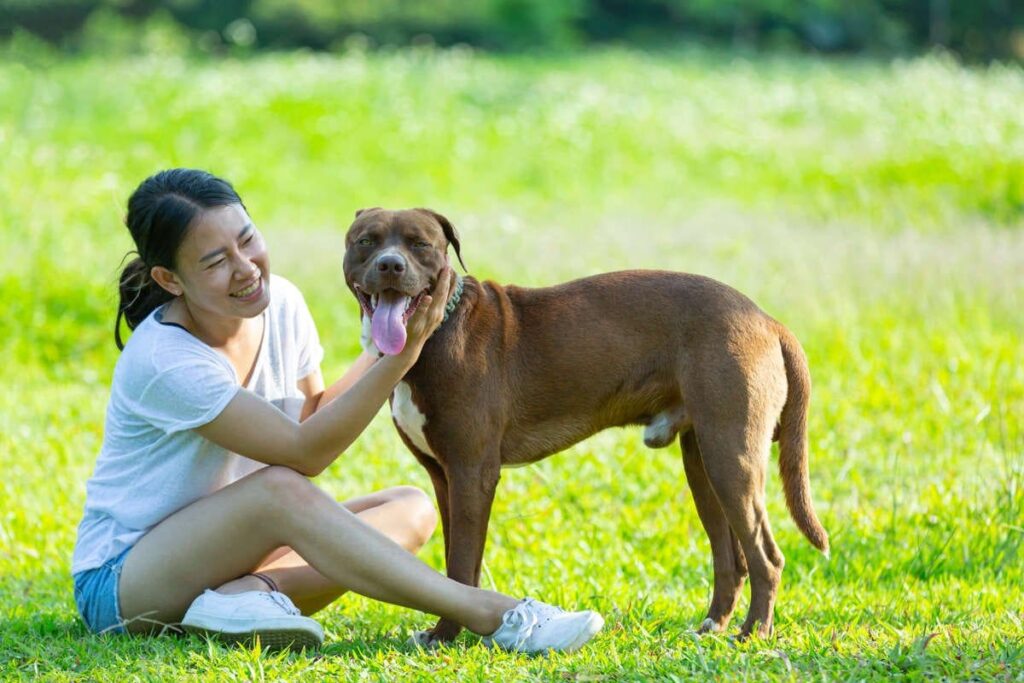 Qual è il segno zodiacale che ama di più i cani?