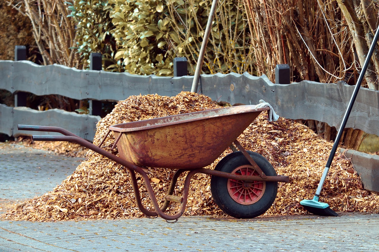 Tecniche di pacciamatura nel giardino: materiali e metodi per un terreno sano e fertile.
