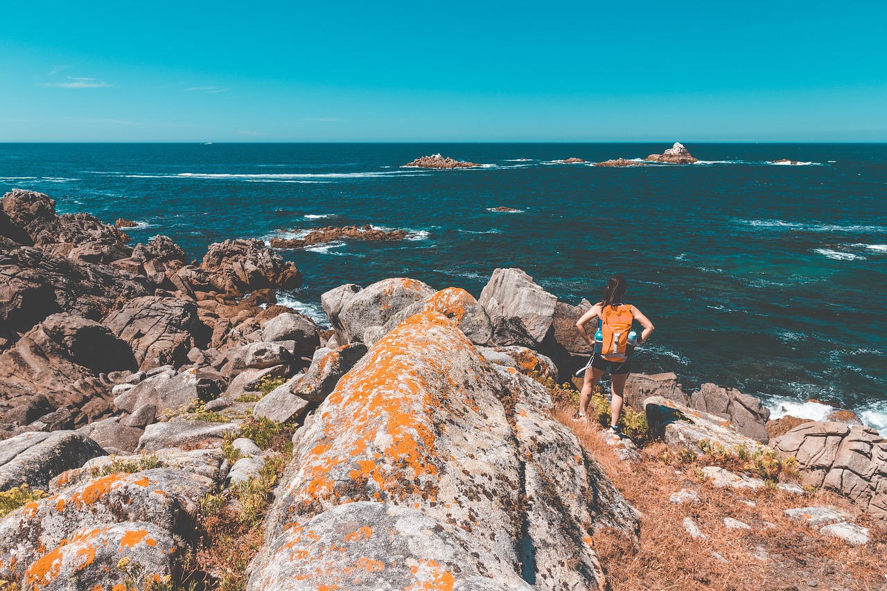 Sentiero costiero panoramico con vista sul mare e vegetazione rigogliosa.