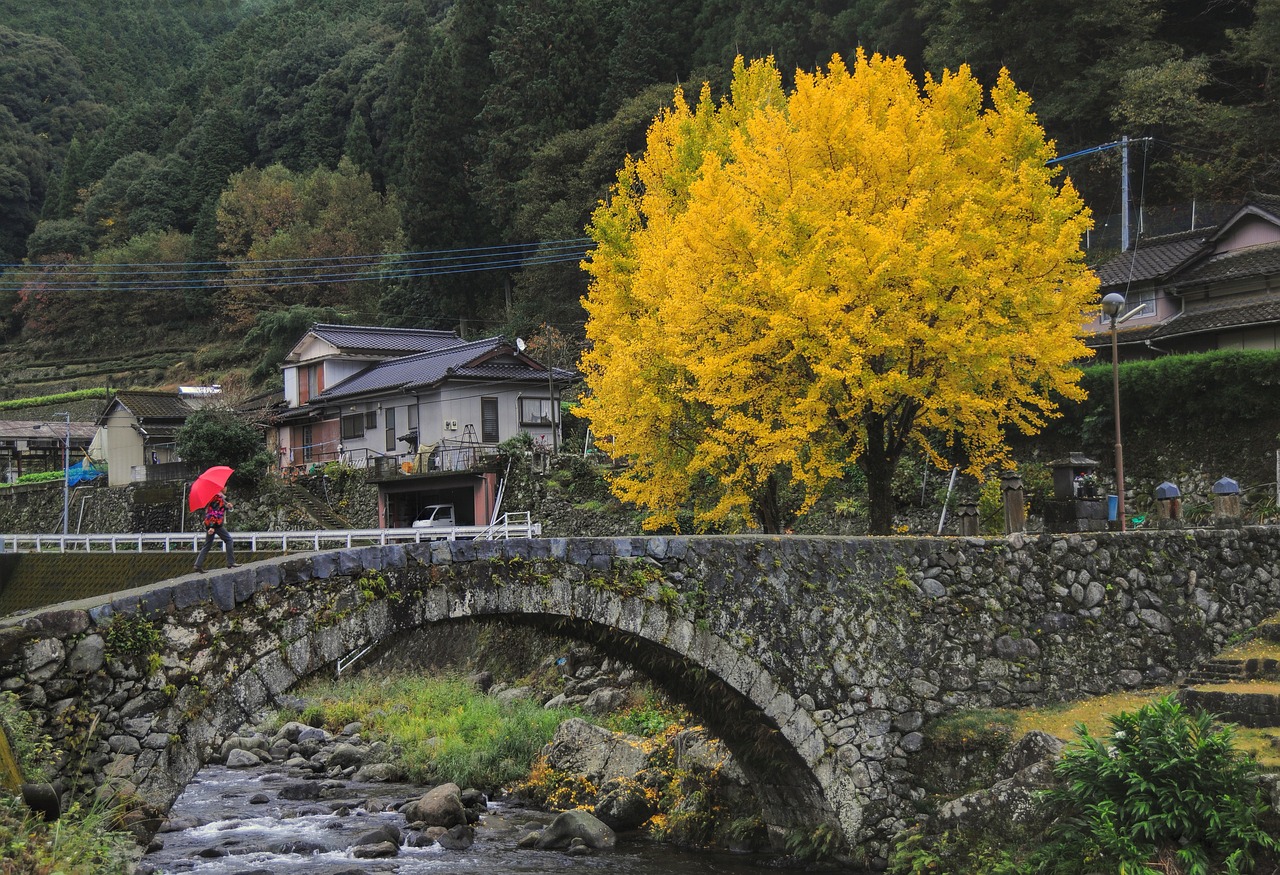 Borghi alpini immersi nei colori spettacolari dell'autunno, con foglie dorate e paesaggi montani.