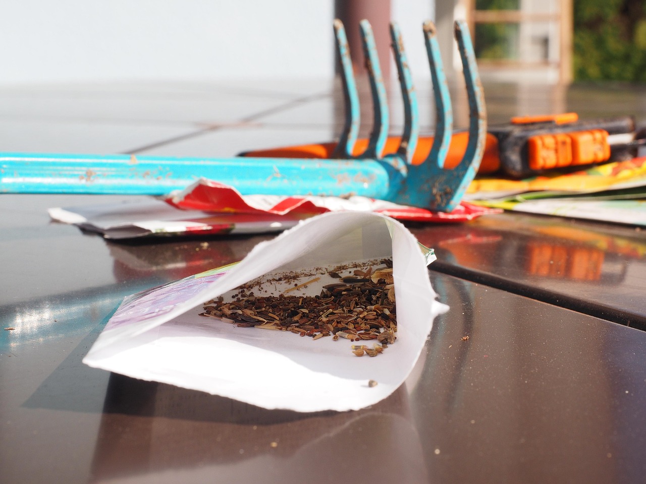 Selezione di semi per l'orto, evidenziando errori comuni da evitare.