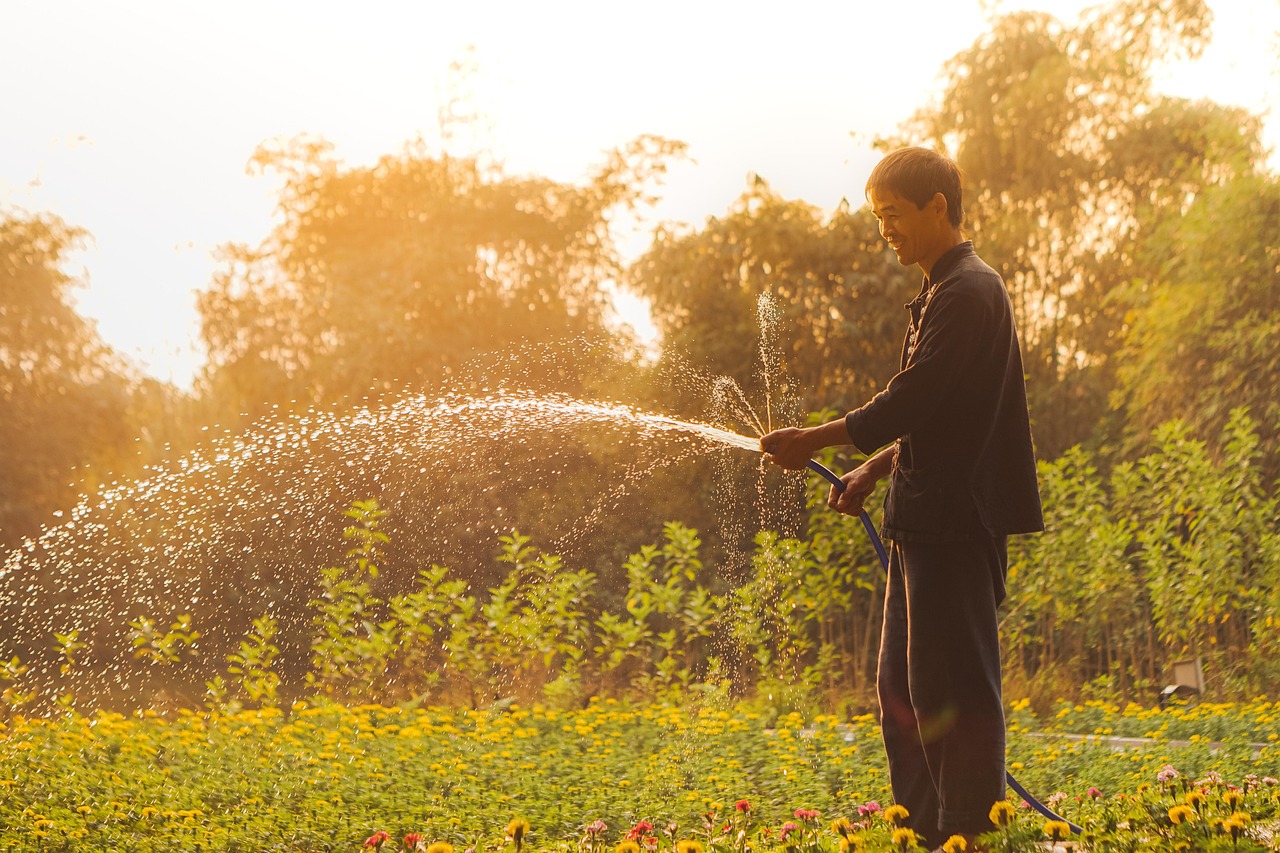 Tecniche di irrigazione per giardini, mostrando tubi, spruzzatori e piante verdi in un ambiente soleggiato.