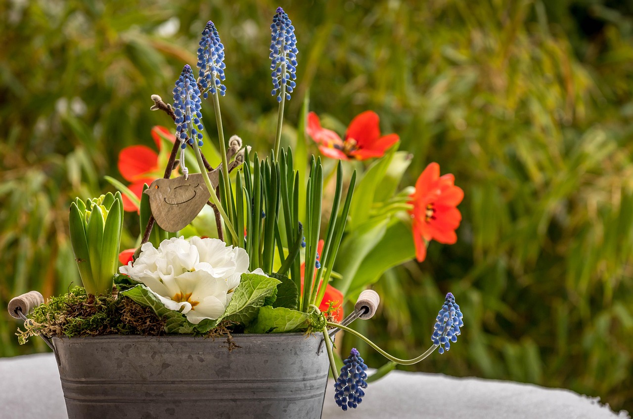 Piante da balcone fiorite che attirano uccelli e farfalle in un ambiente estivo luminoso.