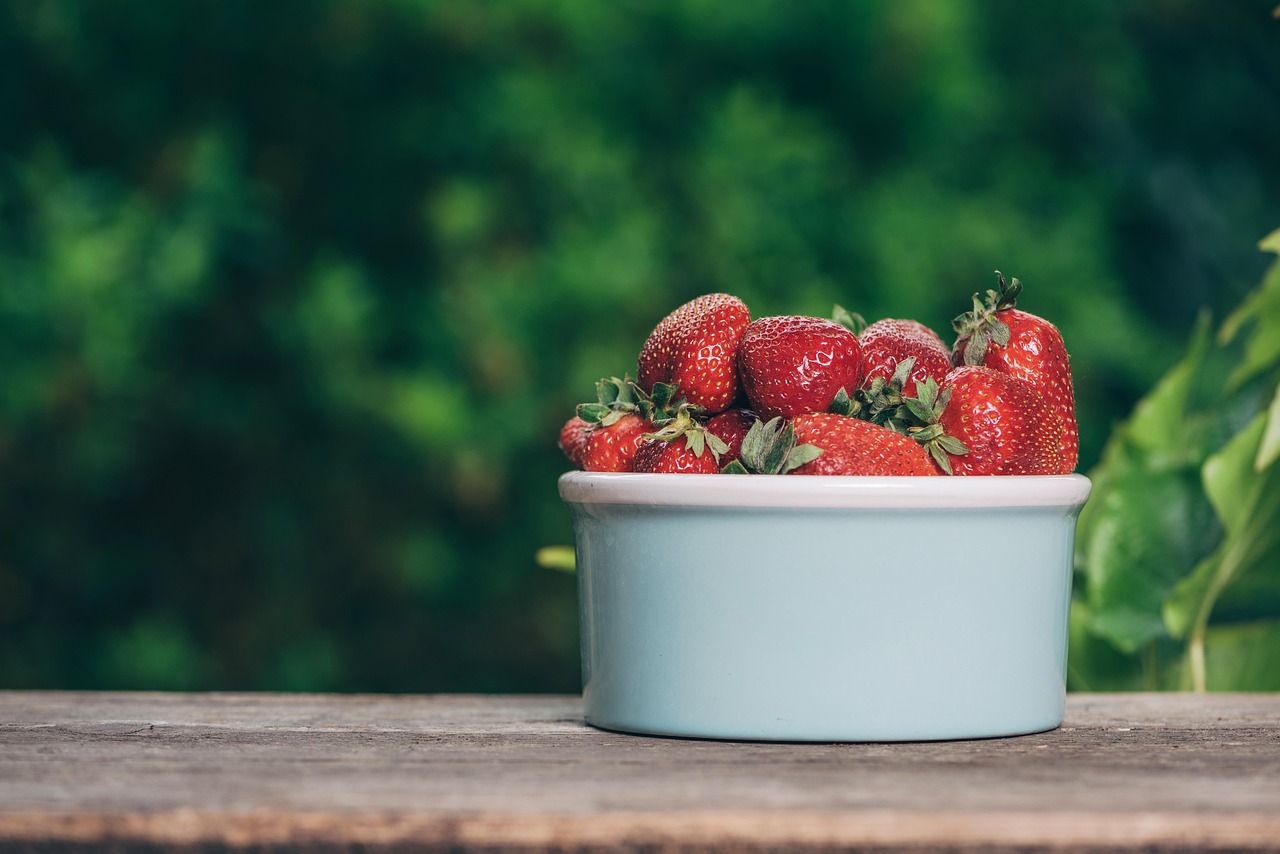 Fragole mature e dolci in un campo, pronte per la raccolta, con foglie verdi vivaci sullo sfondo.