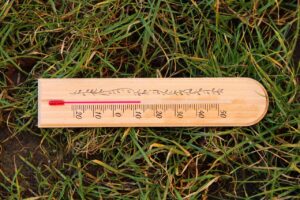 Come affrontare il caldo record nell'orto